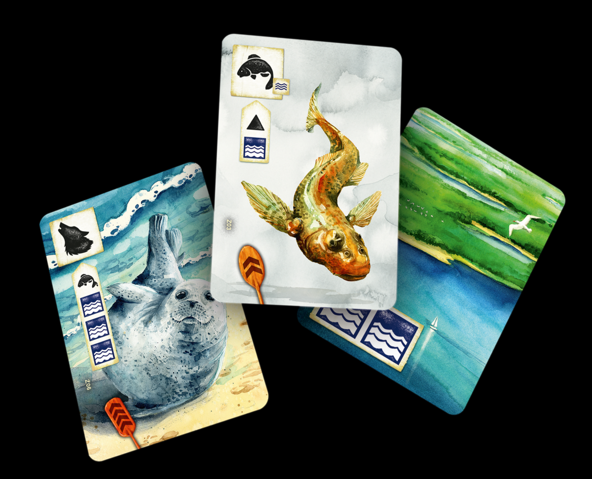 Privátní: Meadow_Downstream_cards_1.png