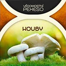 Vědomostní pexeso: Houby - obrázek