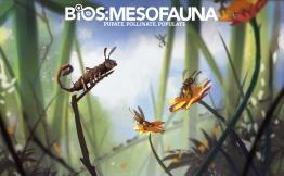 Bios: Mesofauna - obrázek