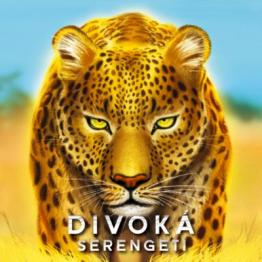 Divoká serengeti 