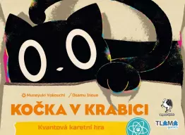 Kočka v krabici - obrázek