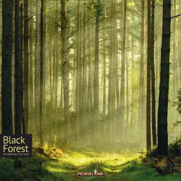 Black Forest - obrázek