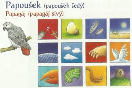 Řešení papoušek