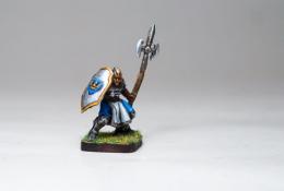 Citadel Guard