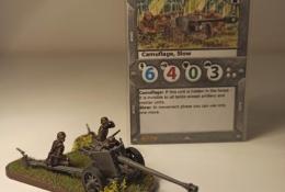 Custom Pak 40