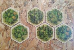 CATAN BB17 2.edice - detail grafiky - lesy