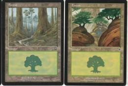 MTG - basic lands FOREST